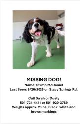 Lost Male Dog last seen Stacy Springs Rd/Bayview Heights/ Big Dike, Cleburne County, AR 72543