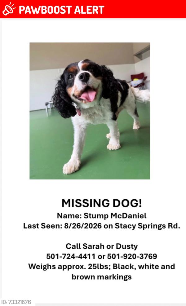 Lost Male Dog last seen Stacy Springs Rd/Bayview Heights/ Big Dike, Cleburne County, AR 72543