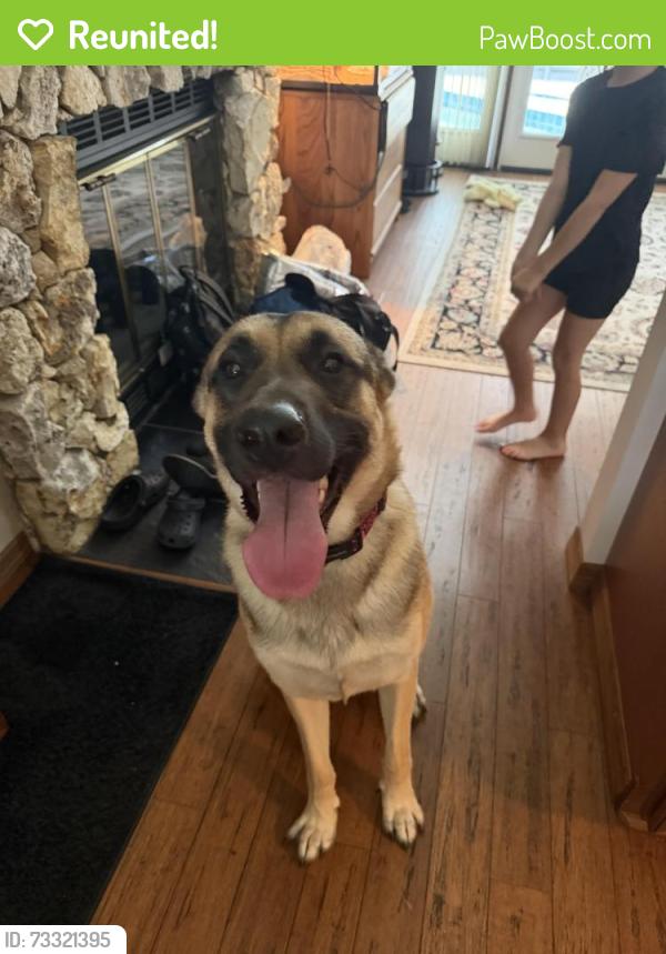 Reunited Male Dog last seen Markham rd, Seminole County, FL 32746