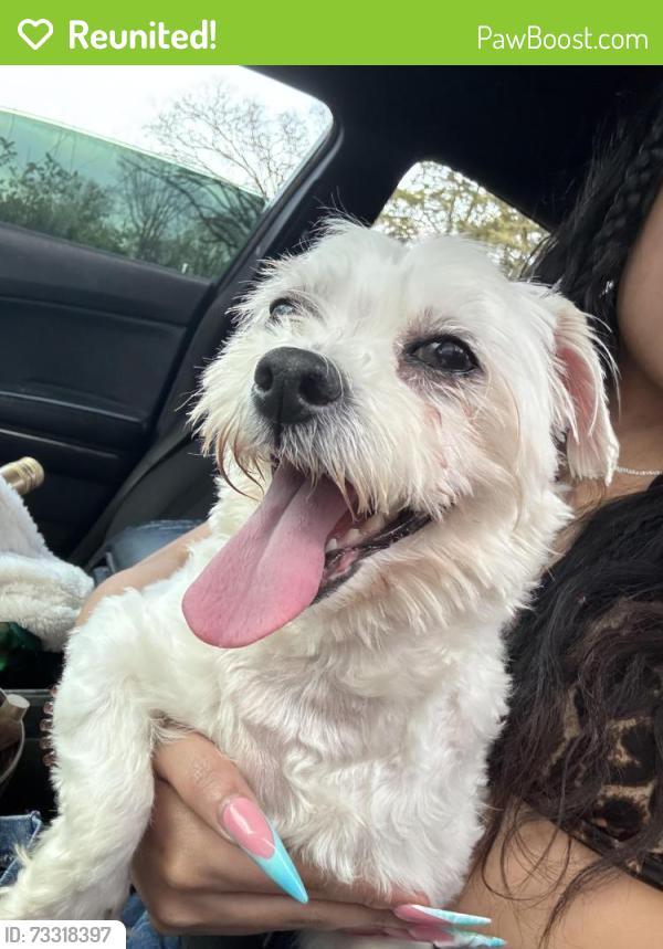 Reunited Female Dog last seen N Drexel Ave, Indianapolis, IN, USA, Indianapolis, IN 46218