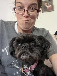 Reunited Female Dog last seen Barr Ave and critter st, Pittsburgh, PA 15205