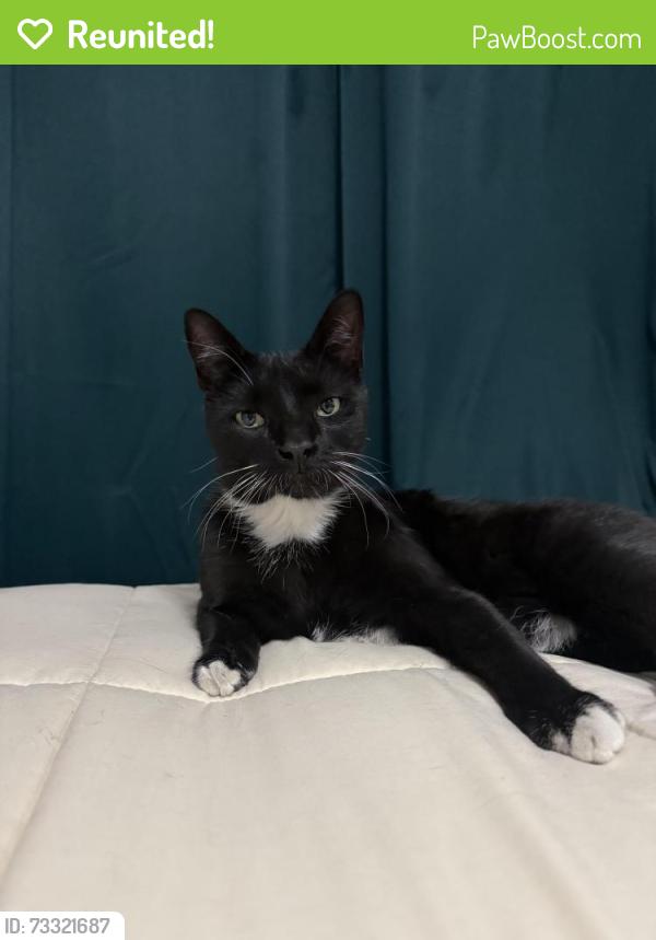 Reunited Male Cat last seen 26th and Newport, Denver, CO 80207