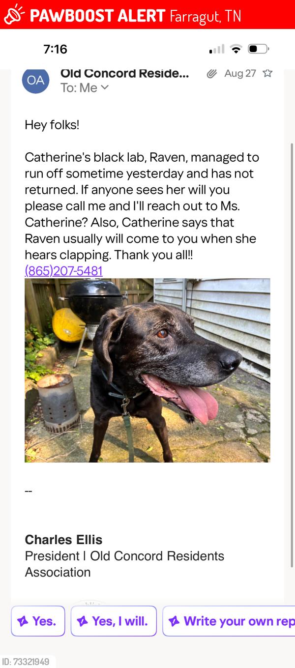 Lost Female Dog last seen old concord, Farragut, TN 37922