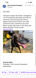 Lost Female Dog last seen old concord, Farragut, TN 37922