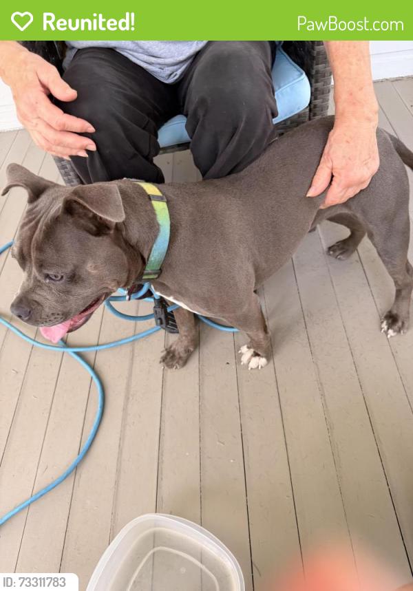 Reunited Female Dog last seen St Andrews, Spartanburg, SC 29301