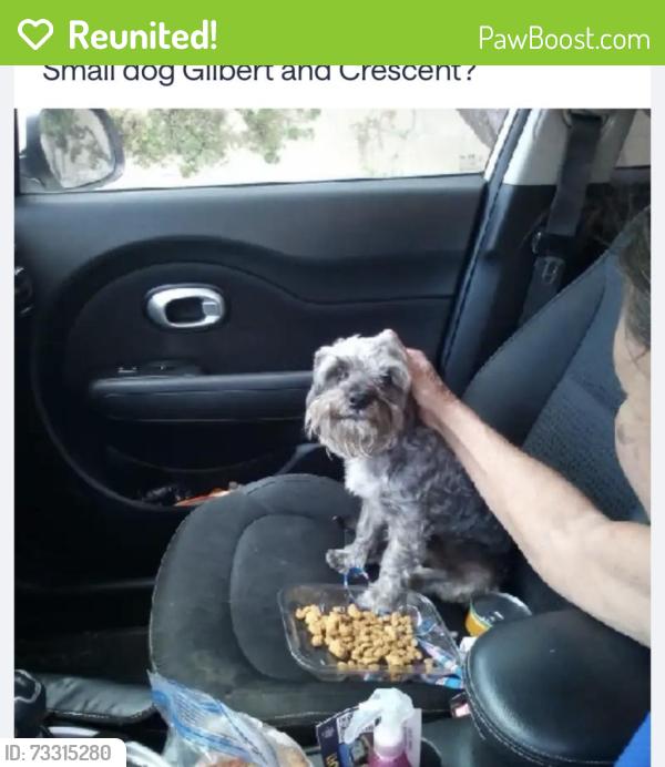 Reunited Unknown Dog last seen Crescent and Gilbert St, Anaheim, CA 92801
