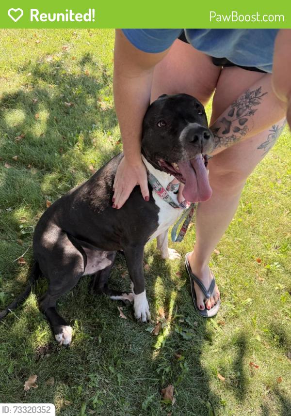 Reunited Male Dog last seen Steffanie Way and Penney Way, Sparks, NV 89431