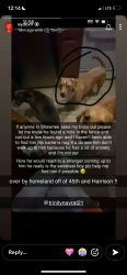 Lost Male Dog last seen Homeland on Harrison, Shawnee, OK 74801