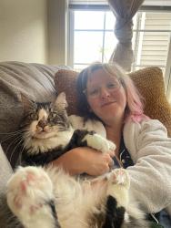 Lost Male Cat last seen GW community center, Fort Belvoir, VA 22060