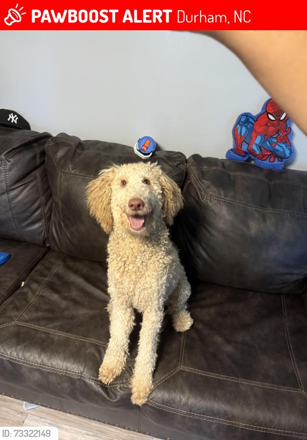 Lost Male Dog last seen Near bonsell place, Durham, NC 27707