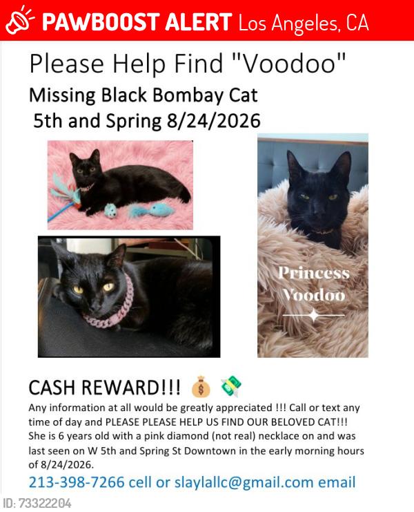 Lost Female Cat last seen Near s spring st, Los Angeles, CA 90013