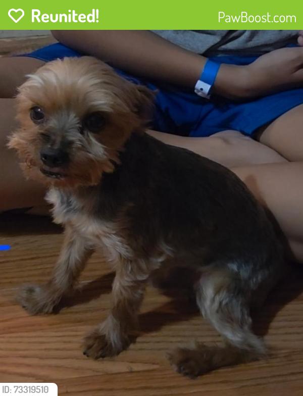 Reunited Male Dog last seen Mayranch neighborhood, Perris, CA 92571