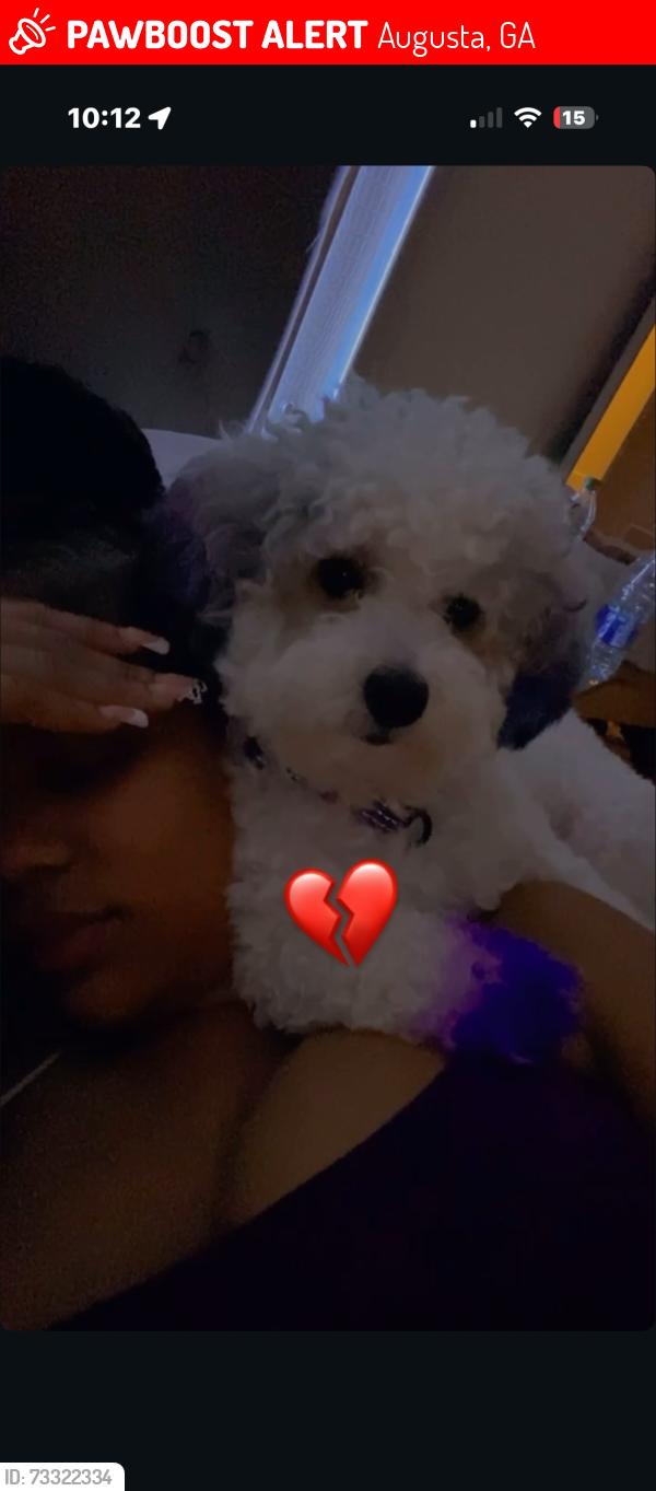 Lost Male Dog last seen Parc at flowing wells, Augusta, GA 30904