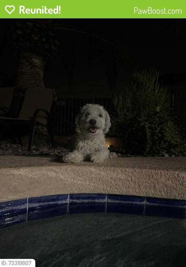 Reunited Male Dog last seen Near N 18th Ave, Phoenix, AZ 85023, USA, Phoenix, AZ 85023