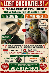 Lost Male Bird last seen Blue hse on north Travis st near Albertsons, Sherman, TX 75092