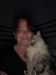 Reunited Female Cat last seen Miami village trailer park, Columbia City, IN 46725