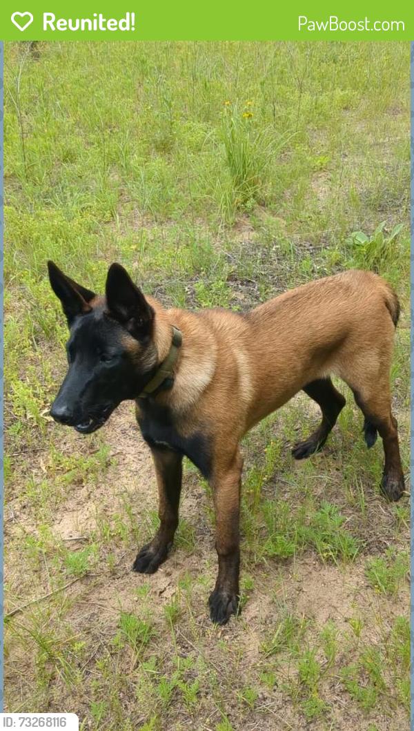Reunited Female Dog last seen Near Wapsi Banks Rd outside of Waubeek, Central City, IA 52214