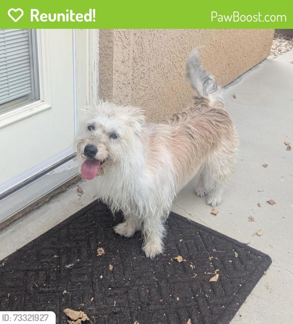 Reunited Female Dog last seen Cocina Lane/Dunes Lane, Palmdale, CA 93551