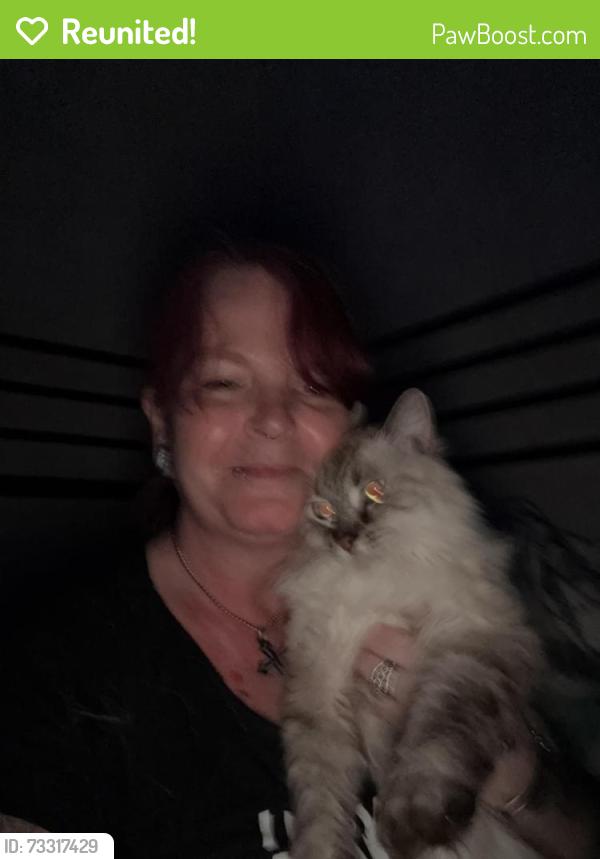 Reunited Female Cat last seen Miami village trailer park, Columbia City, IN 46725