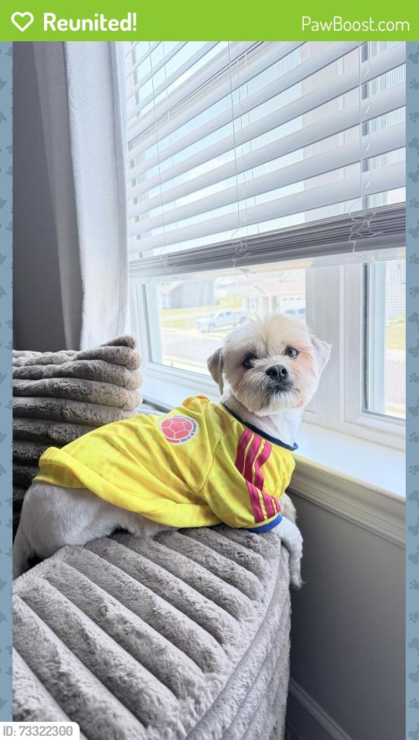 Reunited Male Dog last seen Near pointer pl Murfreesboro Tn, Murfreesboro, TN 37129