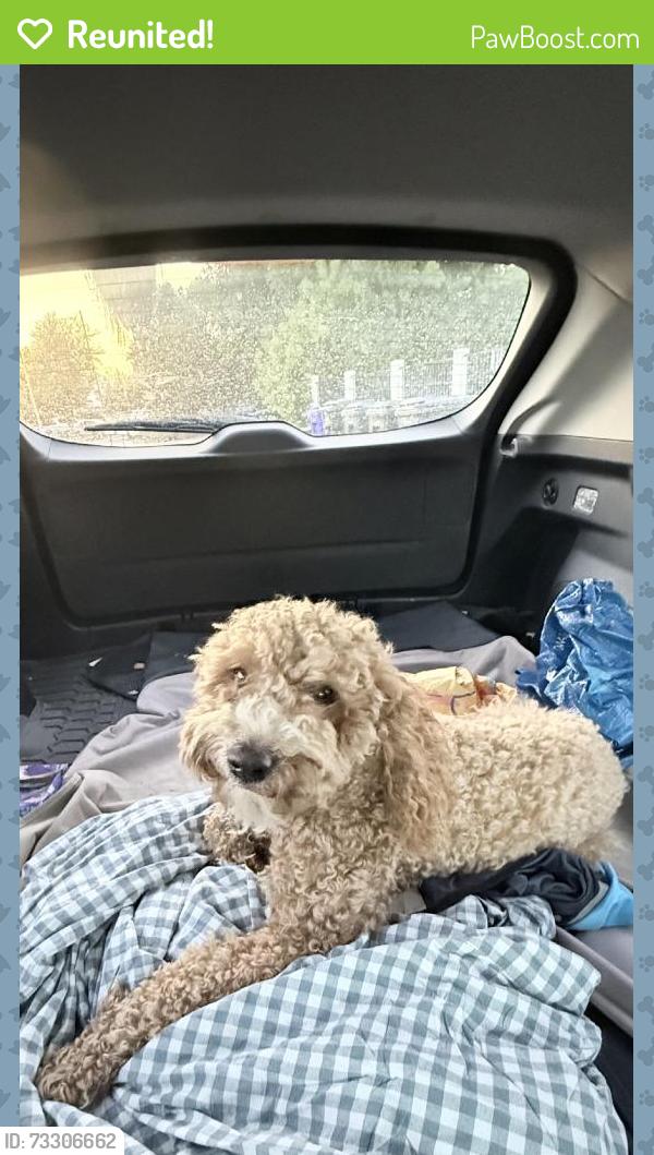 Reunited Male Dog last seen Cll Mendoza, Coachella, CA 92236, USA, Coachella, CA 92236