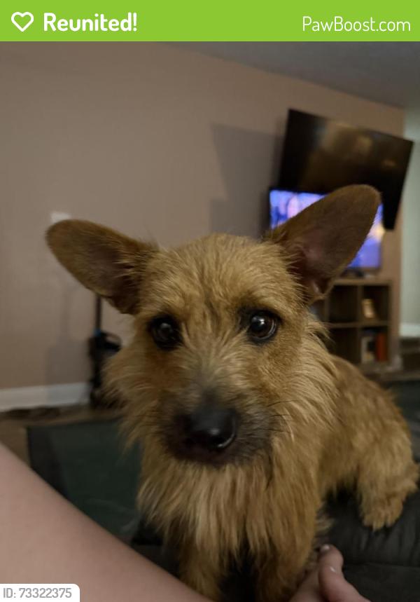 Reunited Male Dog last seen McPherson Church Rd/Murray Hill, Fayetteville, NC 28303