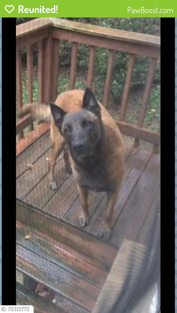 Reunited Male Dog last seen Hemphill rd, Stockbridge, GA 30281