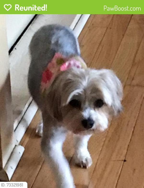 Reunited Female Dog last seen Rixie St at the Stoage for boats/cars, North Little Rock, AR 72114