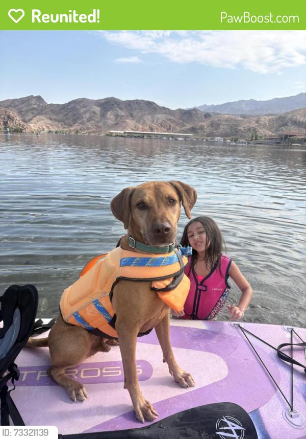 Reunited Male Dog last seen Clayton and Craig, North Las Vegas, NV 89032
