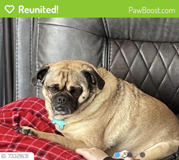 Reunited Female Dog last seen Memorial and Western, Edmond, OK 73013
