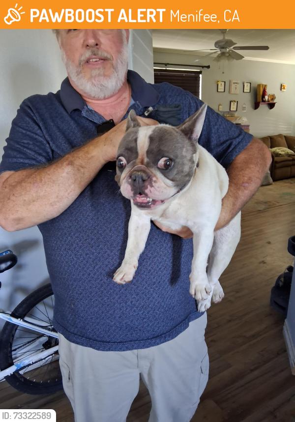 Found/Stray Unknown Dog last seen Bradley, Menifee, CA 92586