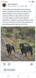 Reunited Unknown Dog last seen 133rd Ave, Rainier, WA 98576