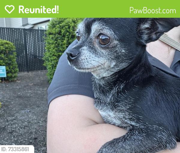 Reunited Female Dog last seen Sunset Ave & River Rd N, Keizer, OR 97303