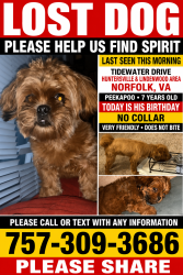 Lost Male Dog last seen Tidewater Dr, Norfolk, VA 23504
