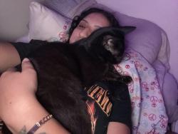 Reunited Male Cat last seen Pinkney Dr and Cauble Rd in Salisbury, NC, Salisbury, NC 28144