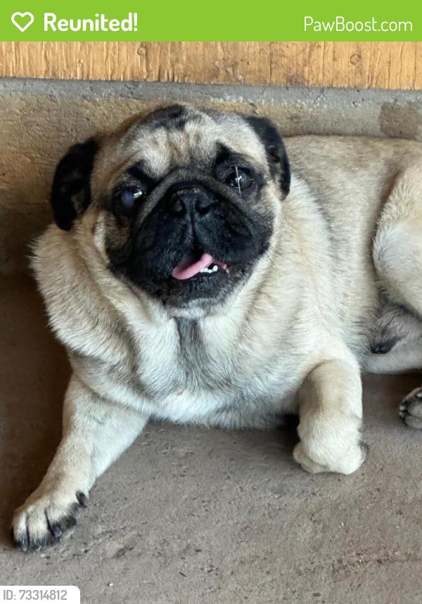 Reunited Male Dog last seen 523w Saint Francis ave Alton TX 78573, Alton, TX 78573