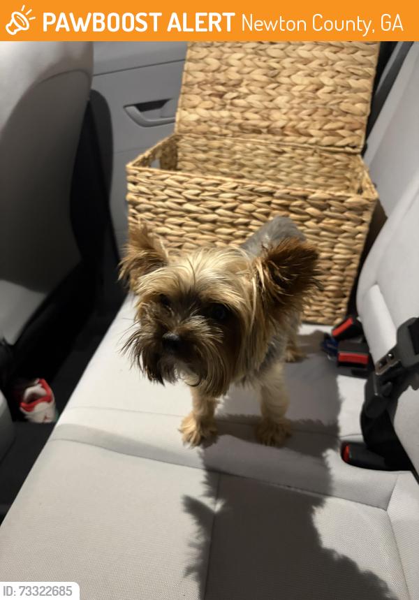 Found/Stray Male Dog last seen davis ford rd, Newton County, GA 30055