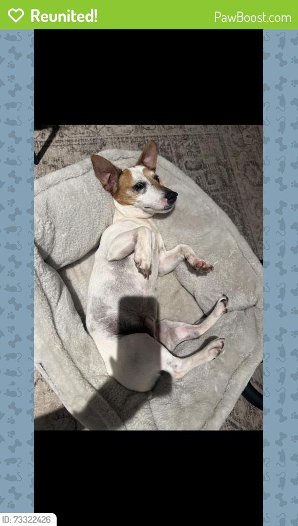 Reunited Male Dog last seen Near N Towne Ave, Pomona, CA 91767, USA, Pomona, CA 91767