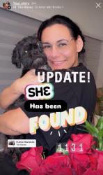 Reunited Female Dog last seen Ne 15th ter and Ne 4th Pl, Cape Coral, FL 33909
