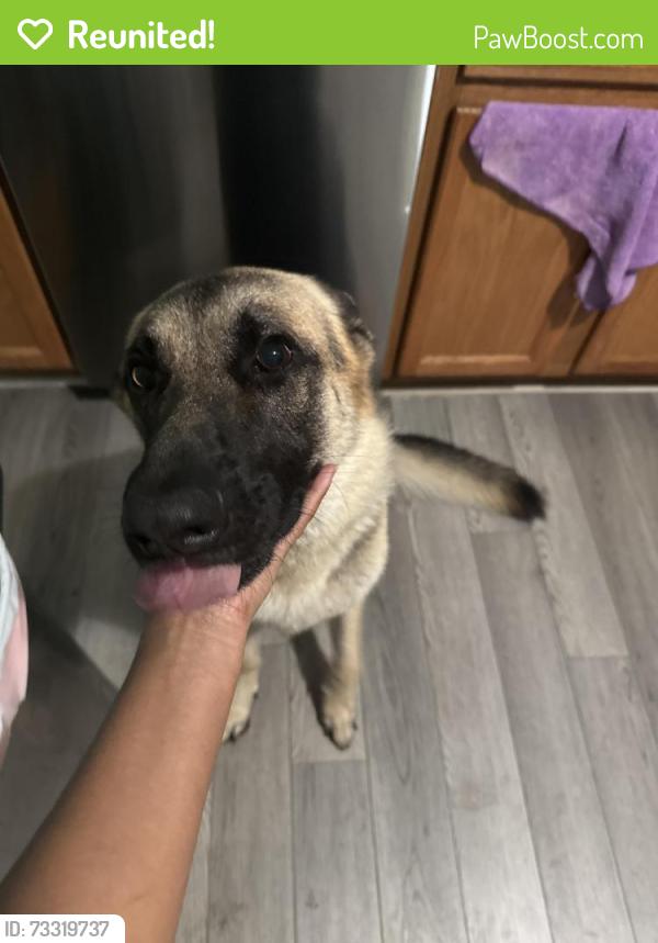 Reunited Male Dog last seen Nearest S Alston Ave, Durham, NC 27707