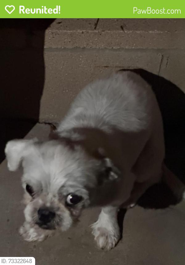 Reunited Unknown Dog last seen Lompoc, CA, USA, Lompoc, CA 93438