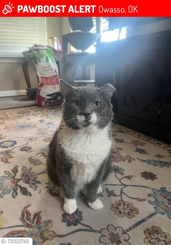 Lost Male Cat last seen Tulsa Tech Owasso Center, Owasso, OK 74055