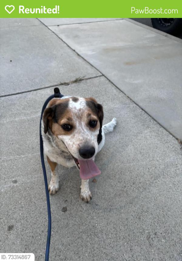 Reunited Male Dog last seen W La Deney off San Antonio ONTARIO CA, Ontario, CA 91762