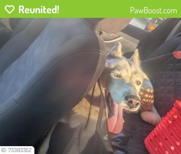 Reunited Unknown Dog last seen Santa villa park pace fl, Pea Ridge, FL 32571