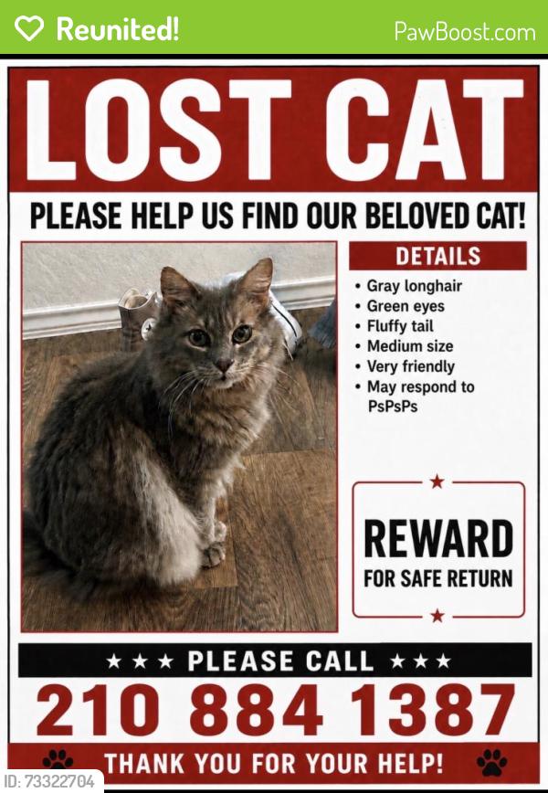 Reunited Male Cat last seen Near Kalinoski St Hedwig, TX 78152, Saint Hedwig, TX 78152
