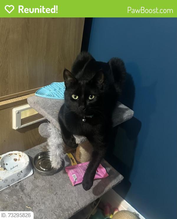Reunited Male Cat last seen The Travellers Rest Highmoor, High Moor, England 