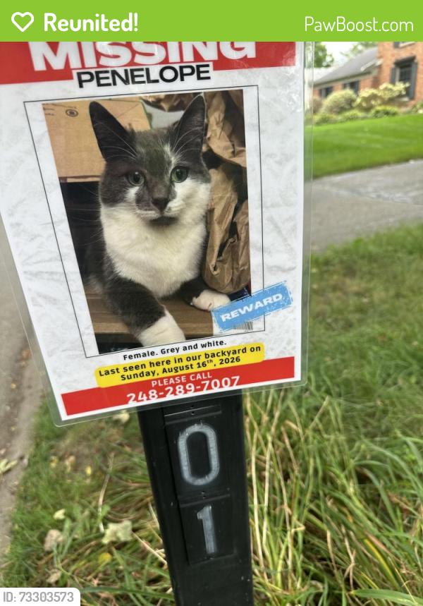 Reunited Female Cat last seen Timberwyck Trail and Adams rd near St. Thomas More Church, Troy, MI 48098
