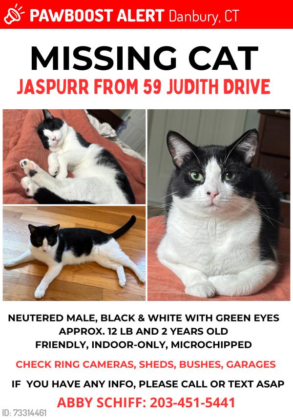 Lost Male Cat last seen Judith Drive between Bragdon Ave & Kilian Drive, Danbury, CT 06811