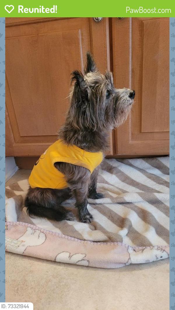 Reunited Male Dog last seen Beulah Rd. and Warrior Rd., Winter Garden, FL 34787