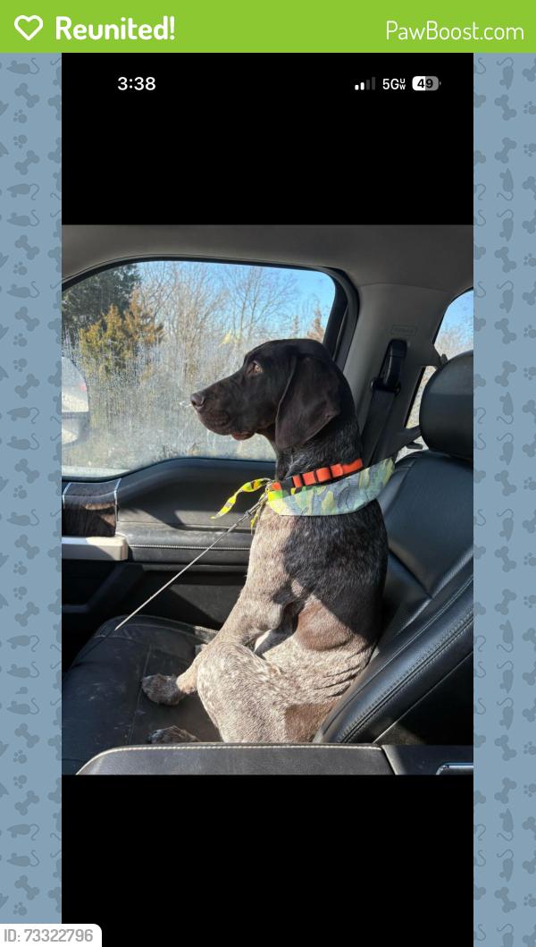 Reunited Male Dog last seen Left yard near Hanley and Sheed, Cincinnati, OH 45247